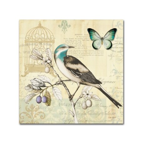 Trademark Fine Art Lisa Audit 'Freedom II' Canvas Art, 18x18 WAP0259-C1818GG